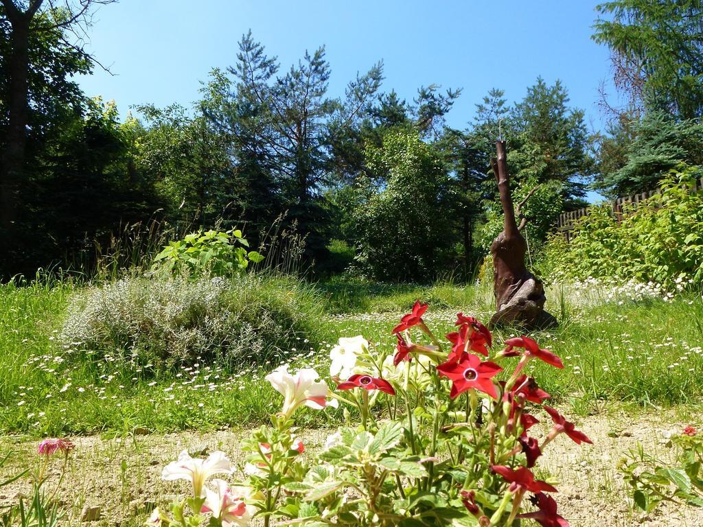 Pokoje Goscinne Vida Krynica Zdroj Luaran gambar