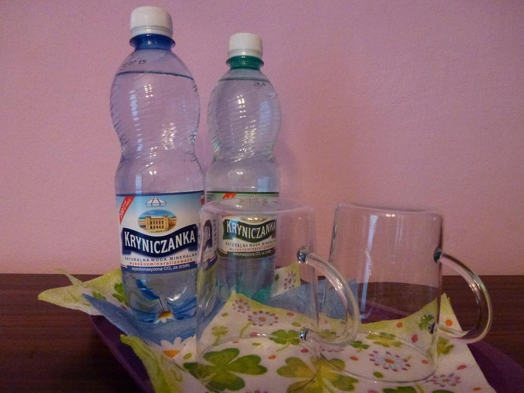 Pokoje Goscinne Vida Krynica Zdroj Bilik gambar