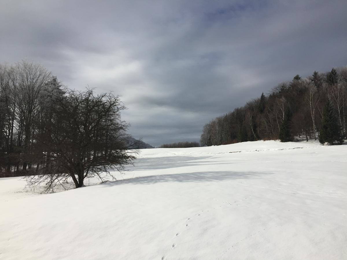 Pokoje Goscinne Vida Krynica Zdroj Luaran gambar