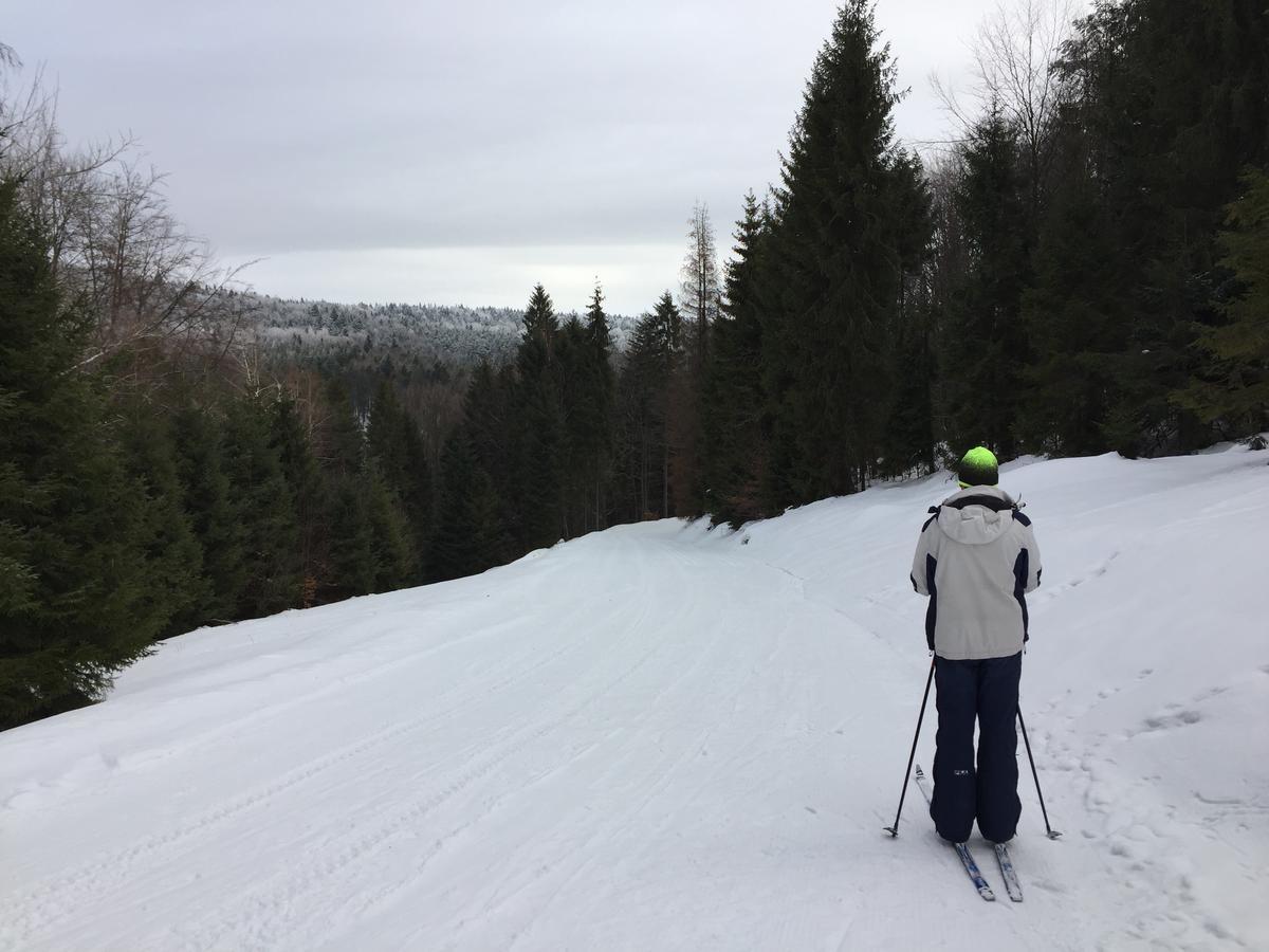 Pokoje Goscinne Vida Krynica Zdroj Luaran gambar
