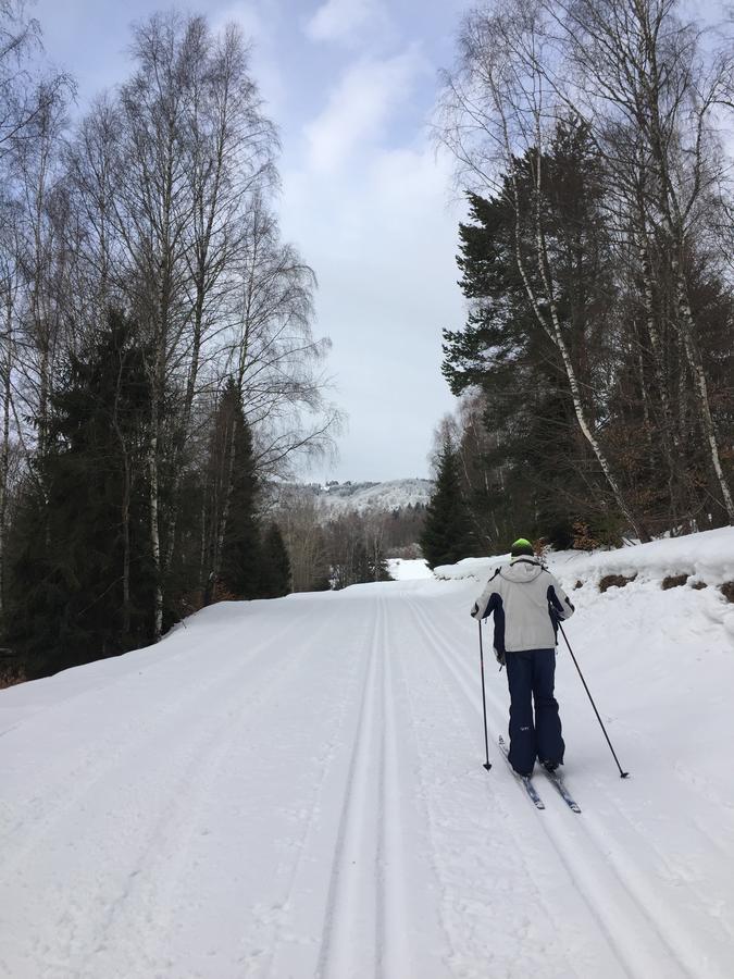 Pokoje Goscinne Vida Krynica Zdroj Luaran gambar